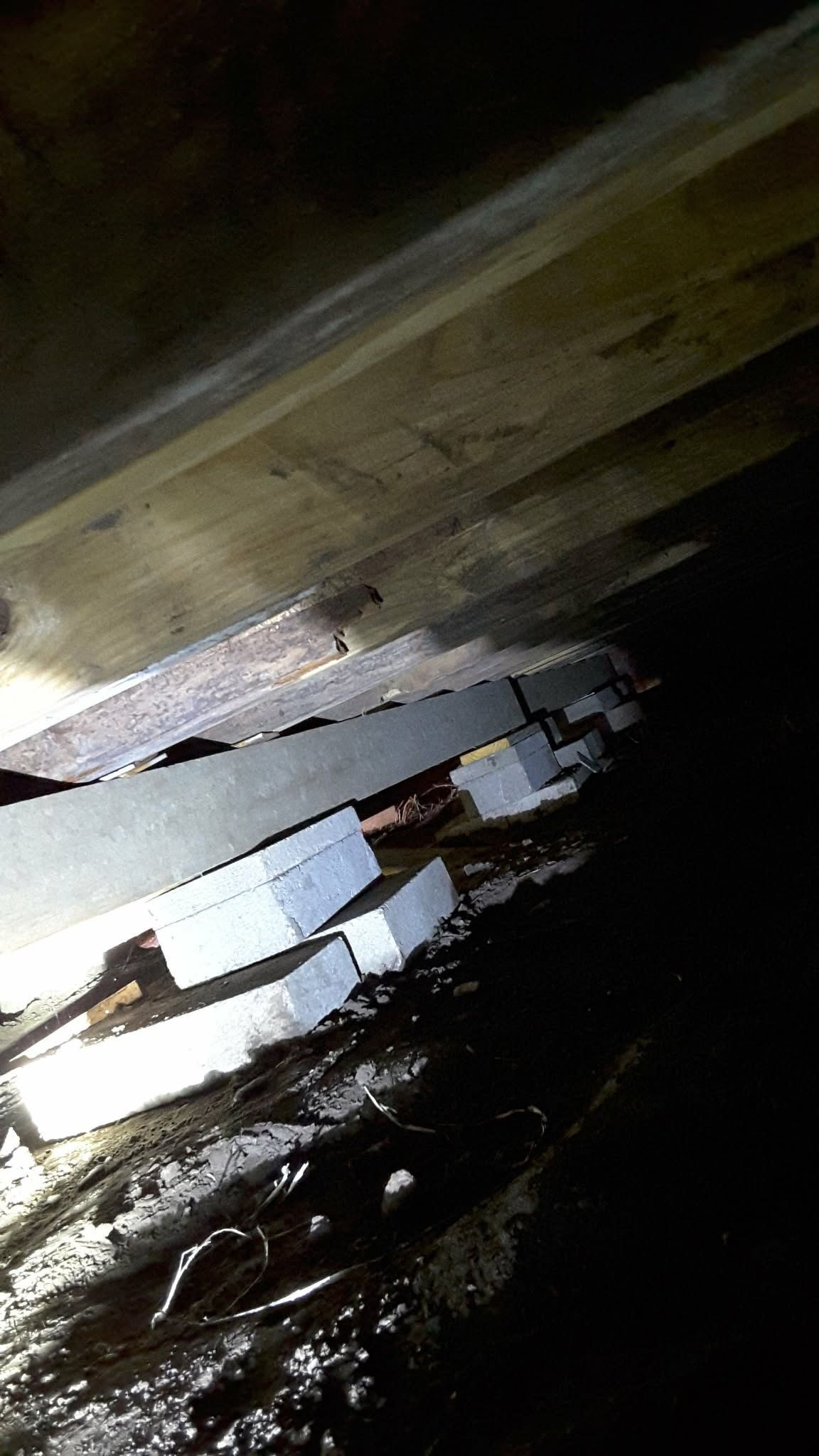 Floor Joists, Beams and Piers