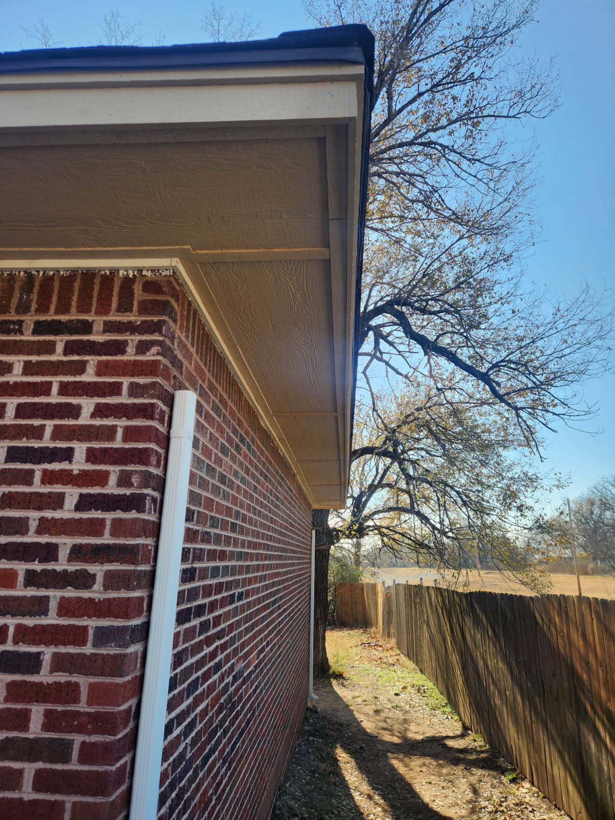 Wood Rot Repair